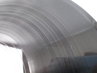 Load image into Gallery viewer, TERRY FUNK TEXAS BRONCO VAP 30110-28 with OBI Japan LP Vinyl
