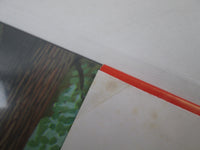 Load image into Gallery viewer, STYX GRAND ILLUSION A&amp;M GP-2048 with OBI Japan LP Vinyl
