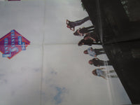 Load image into Gallery viewer, LYNYRD SKYNYRD NUTHIN' FANCY MCA MCA-6073 with OBI Poster Japan LP Vinyl
