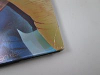 Load image into Gallery viewer, BEATLES ROCK 'N' ROLL MUSIC EMI/ODEON EAS-77009,10 with OBI Japan LP Vinyl
