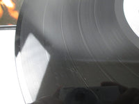 Load image into Gallery viewer, Anthrax Spreading The Disease 207476 LP Vinyl
