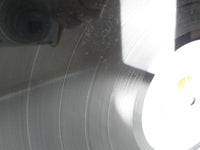 Load image into Gallery viewer, Anthrax Spreading The Disease 207476 LP Vinyl
