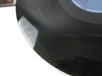 Load image into Gallery viewer, Anthrax Spreading The Disease 207476 LP Vinyl
