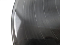 Load image into Gallery viewer, POLICE OUTLANDOS D'AMOUR A&amp;M AMP-6039 Promo with OBI Japan LP Vinyl
